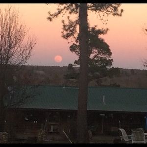 Meet your Posher, Jo